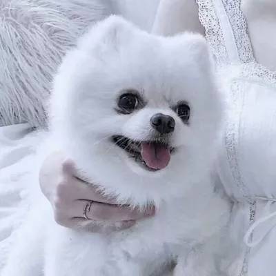 乐鱼体育下载APP