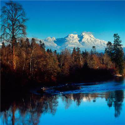 跨界？王菲客串模特走秀气场强大