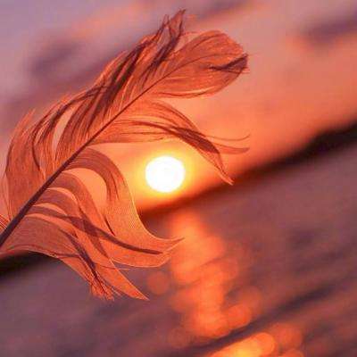 亚美体育电竞app