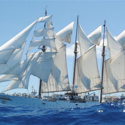 乐鱼体育官网App