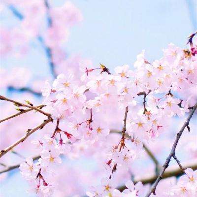 “好好开家长会 我去拯救世界了”