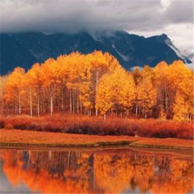 必体育安装正版最新版v2.8.9.4截图1