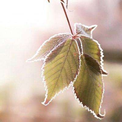 澳门威斯尼斯入口