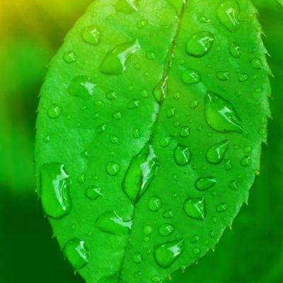 A股农商行首份年报出炉！重庆农商行2025年营收和净利润双增，资产总额达1.66万亿元